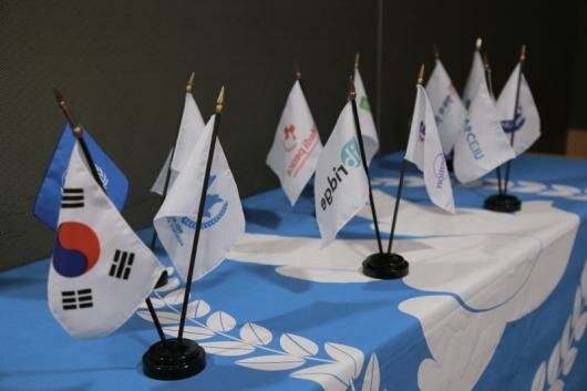 Flags in Girls in ICT Day